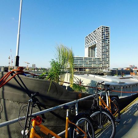 فندق Eco Houseboat أمستردام المظهر الخارجي الصورة